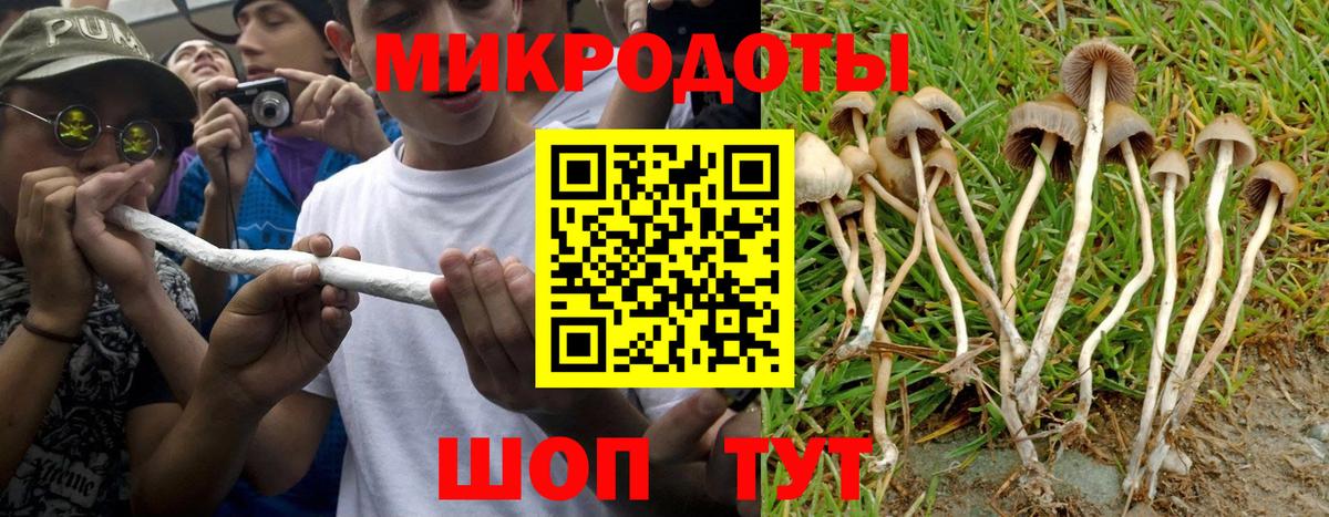 магазин продажи наркотиков  Псилоцибиновые грибы прущие грибы  Вход с VPN  Жигулёвск 